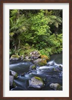 Framed New Zealand, Hatea River, Whangarei Falls, Northland