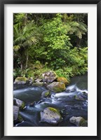 Framed New Zealand, Hatea River, Whangarei Falls, Northland