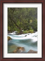 Framed New Zealand, North Island, Rapids on Tarawera River