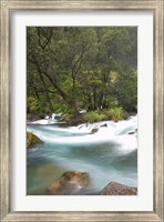 Framed New Zealand, North Island, Rapids on Tarawera River