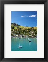 Framed New Zealand, South Island, Canterbury, Akaroa Harbor