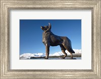 Framed New Zealand, South Island, Lake Tekapo, Sheep Dog Statue