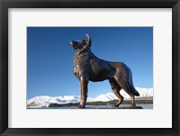 Framed New Zealand, South Island, Lake Tekapo, Sheep Dog Statue