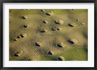 Framed New Zealand, South Island, Sinkholes, Sheep, Agriculture