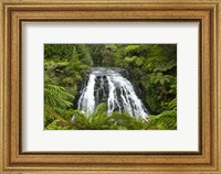 Framed Owharoa Falls, Karangahake Gorge, Waikato, North Island, New Zealand
