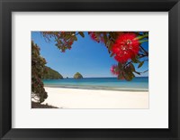 Framed Pohutukawa Tree in Bloom and New Chums Beach, North Island, New Zealand