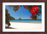 Framed Pohutukawa Tree in Bloom and New Chums Beach, North Island, New Zealand