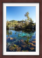 Framed Pupu Springs, Golden Bay, South Island, New Zealand