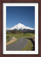 Framed Road, Mt Taranaki, Mt Egmont, North Island, New Zealand