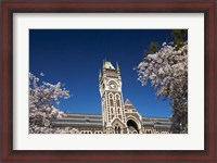 Framed Spring, Clock Tower, Dunedin, South Island, New Zealand (horizontal)
