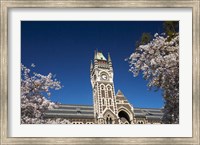Framed Spring, Clock Tower, Dunedin, South Island, New Zealand (horizontal)