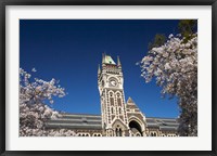 Framed Spring, Clock Tower, Dunedin, South Island, New Zealand (horizontal)