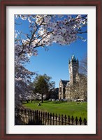 Framed Spring, Clock Tower, Dunedin, South Island, New Zealand (vertical)