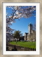 Framed Spring, Clock Tower, Dunedin, South Island, New Zealand (vertical)