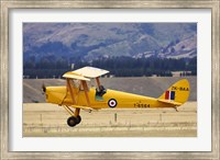 Framed Tiger Moth Biplane, Wanaka, South Island, New Zealand