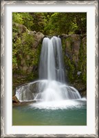 Framed Waiau Waterfall near 309 Road, Coromandel Peninsula, North Island, New Zealand