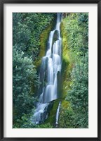 Framed Waterfall, Centennial Gardens, Napier, Hawkes Bay, North Island, New Zealand