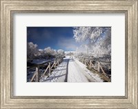 Framed Winter, Bridge, Maniototo, South Island, New Zealand