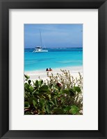 Framed Swimming the waters of Prickly Pear Island with Festiva Sailing Vacations