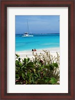 Framed Swimming the waters of Prickly Pear Island with Festiva Sailing Vacations