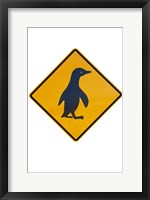 Framed Penguin Warning Sign, New Zealand