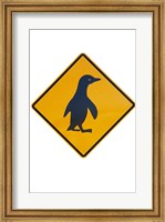 Framed Penguin Warning Sign, New Zealand