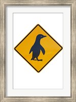 Framed Penguin Warning Sign, New Zealand