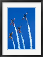 Framed Aerobatic display by North American Harvards, or T-6 Texans, or SNJ, Airshow