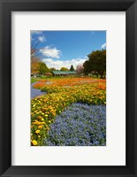 Framed Flower garden, Pollard Park, Blenheim, Marlborough, South Island, New Zealand (vertical)