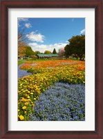 Framed Flower garden, Pollard Park, Blenheim, Marlborough, South Island, New Zealand (vertical)