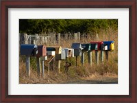 Framed Rural Letterboxes, Otago Peninsula, Dunedin, South Island, New Zealand