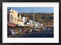 Framed Shops on King Edward Street, Autumn, Dunedin, South Island, New Zealand
