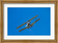 Framed Sopwith Camel, WWI Fighter Plane, War plane