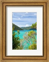 Framed New Zealand, South Island, Marlborough, Nydia Bay