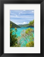 Framed New Zealand, South Island, Marlborough, Nydia Bay