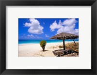 Framed Coco Point Beach, Barbuda, Antigua