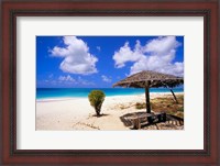 Framed Coco Point Beach, Barbuda, Antigua