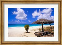 Framed Coco Point Beach, Barbuda, Antigua