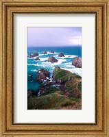 Framed New Zealand, South Island, Nugget Point