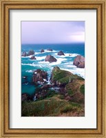 Framed New Zealand, South Island, Nugget Point