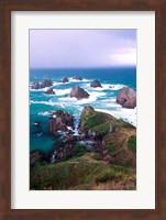 Framed New Zealand, South Island, Nugget Point