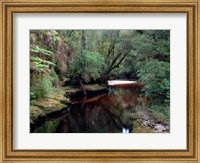 Framed Oparara River, Oparara Basin, New Zealand