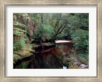 Framed Oparara River, Oparara Basin, New Zealand
