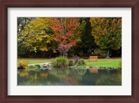Framed Autumn Color in Hagley Park, Christchurch, Canterbury, New Zealand