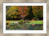 Framed Autumn Color in Hagley Park, Christchurch, Canterbury, New Zealand