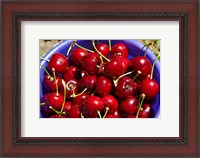 Framed Bucket of cherries, Cromwell, Central Otago, South Island, New Zealand