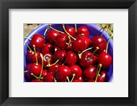 Framed Bucket of cherries, Cromwell, Central Otago, South Island, New Zealand