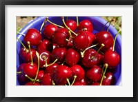 Framed Bucket of cherries, Cromwell, Central Otago, South Island, New Zealand