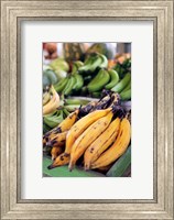 Framed Fresh bananas at the local market in St John's, Antigua