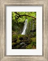 Framed Matai Falls, Catlins, South Otago, South Island, New Zealand